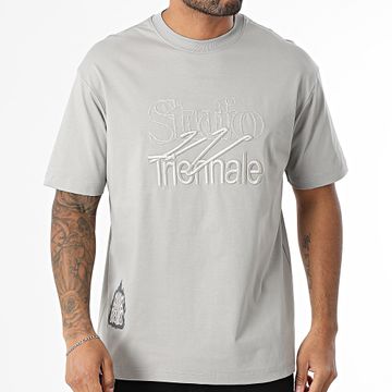 MTX - Maglietta oversize 751 grigio
